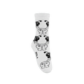 BDLA Panda Socks